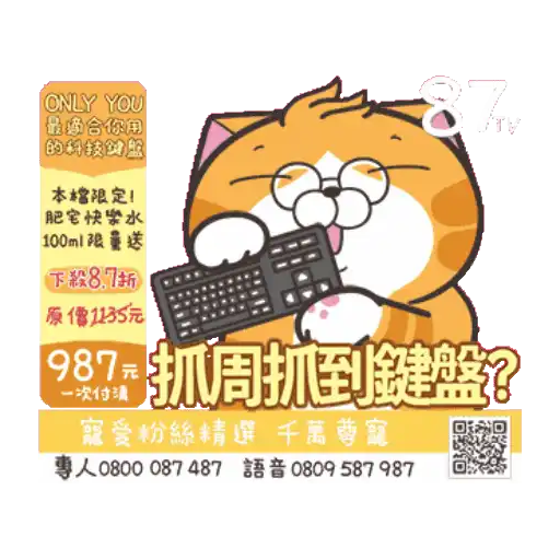 白爛貓☆金促咪☆係金A貼圖 4