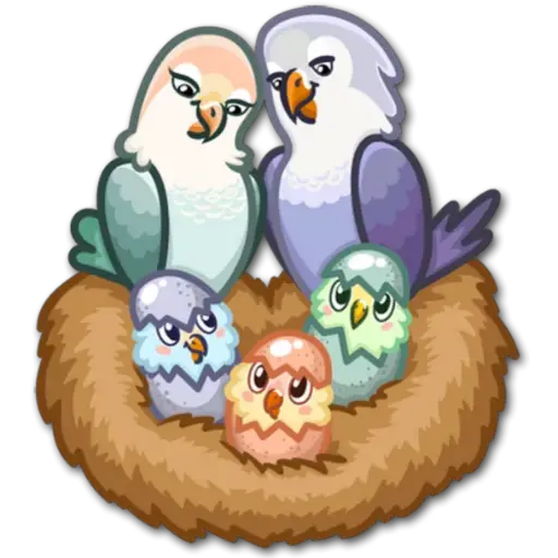 🐦Pajaros Lindos🐦  10