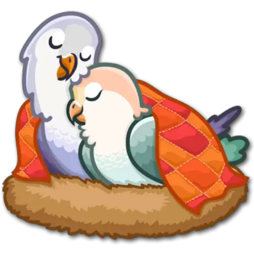 🐦Pajaros Lindos🐦  24