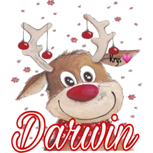 Krys
Darwin