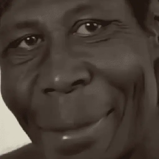 Memes&floptok 1