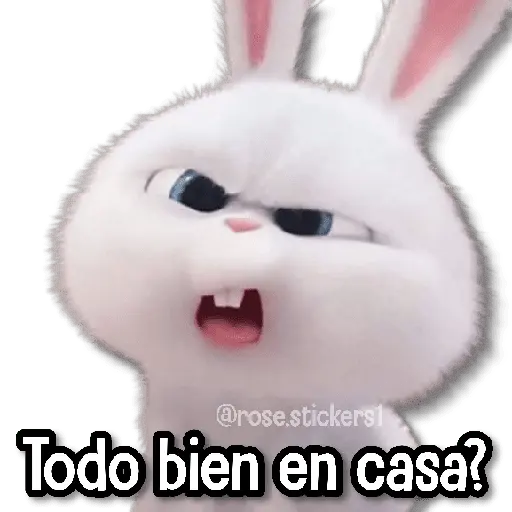 Caricaturas Memes🎈🪅 2