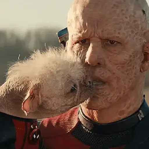 Deadpool × Wolverine 3