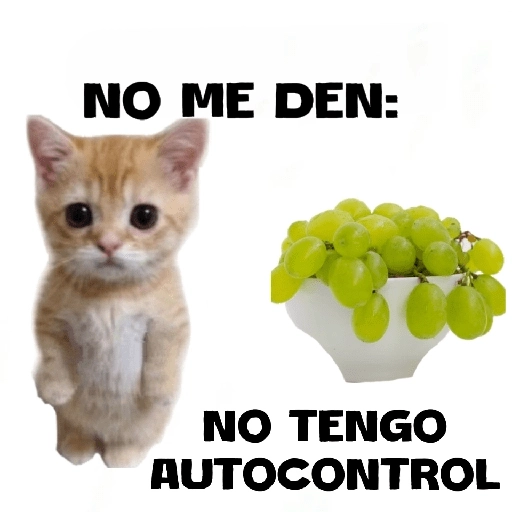 NO ME DEN: NO TENGO AUTOCONTROL