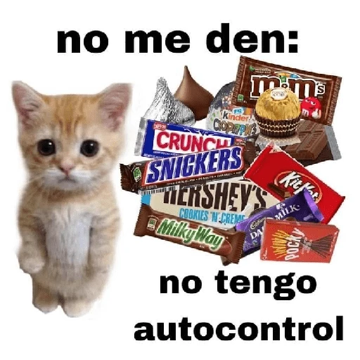 no me den: Kinder COPAPIE mm CRUNCH SNICKERS MERSHEY'S COOKIES 'N CREME Milky Way DA Kit MİLK POCK no tengo autocontrol