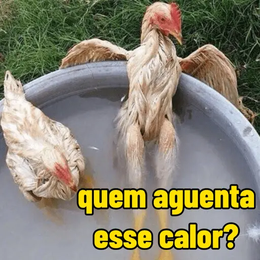 calor do djabo 🥵🌞 3