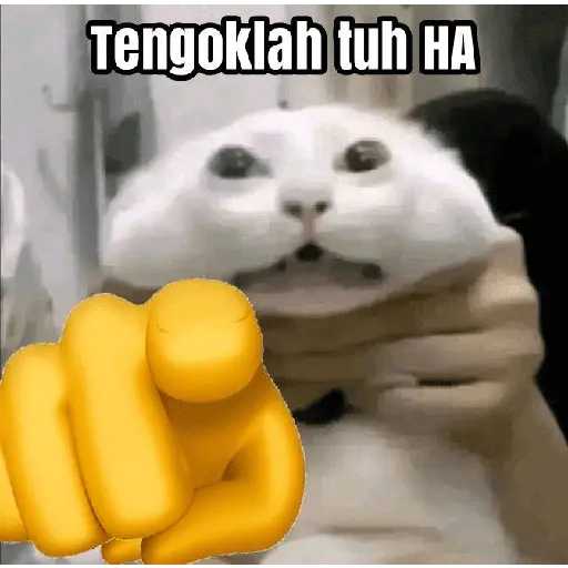 meme kucing 22