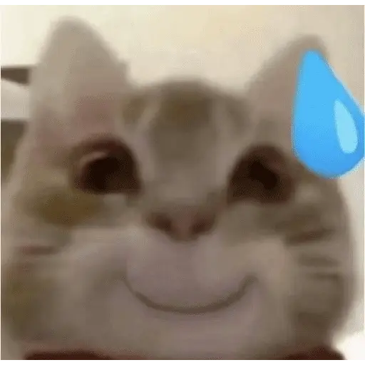 meme kucing 17