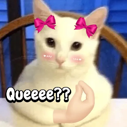Gatos memes random🐈⬛🐱 2