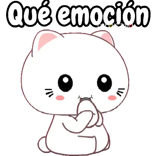 cute cats 🐱🩷🩵🐈 8