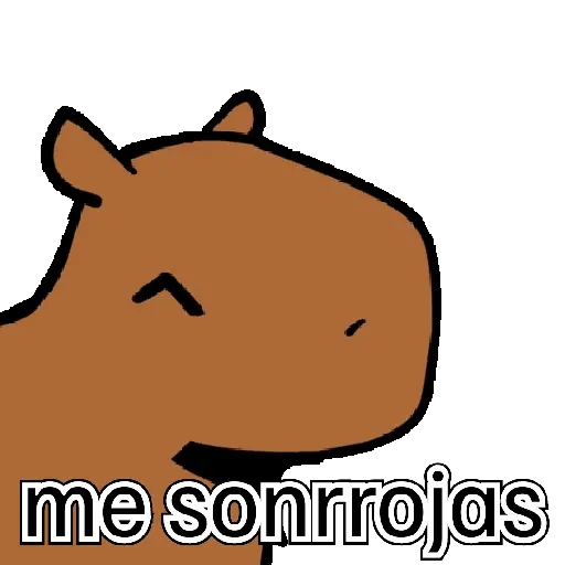 capibara cute 😎 13