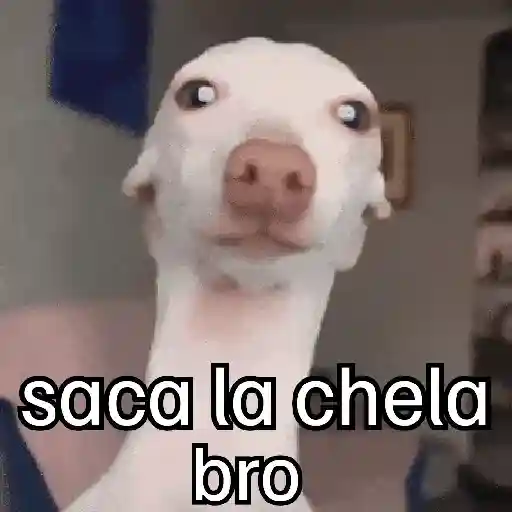 Pa la peda 😎 8