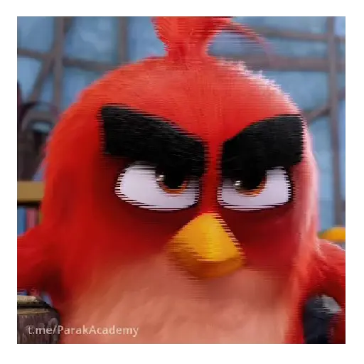 Meme Angry birds 💢😅 13