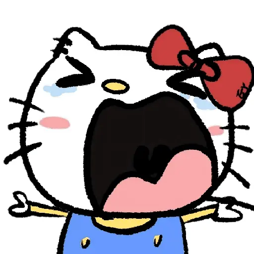 HELLO KITTY RANDOM ♥️😵‍💫 24
