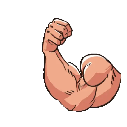 GYM TREINO ACADEMIA