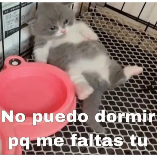 😏 PARA LIGAR 😏 1