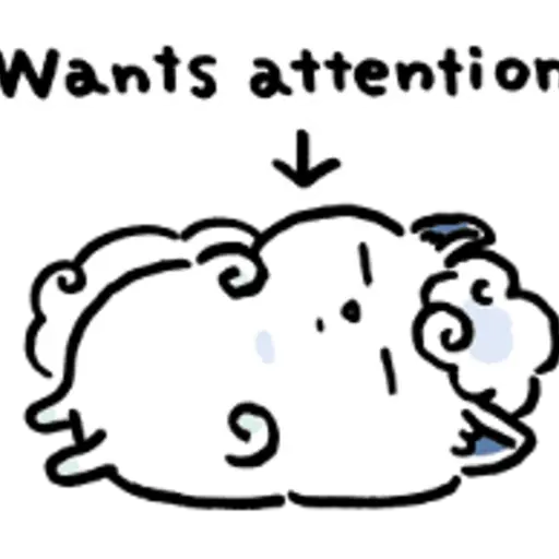 Wants attention ១