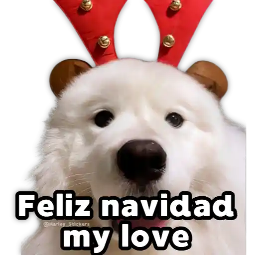Perritos Navideños 12