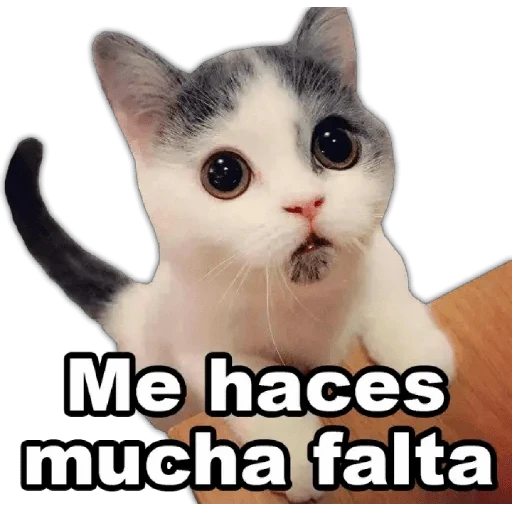 Me haces
mucha falta