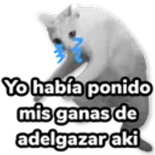 4.20 Comida Pig ## 26