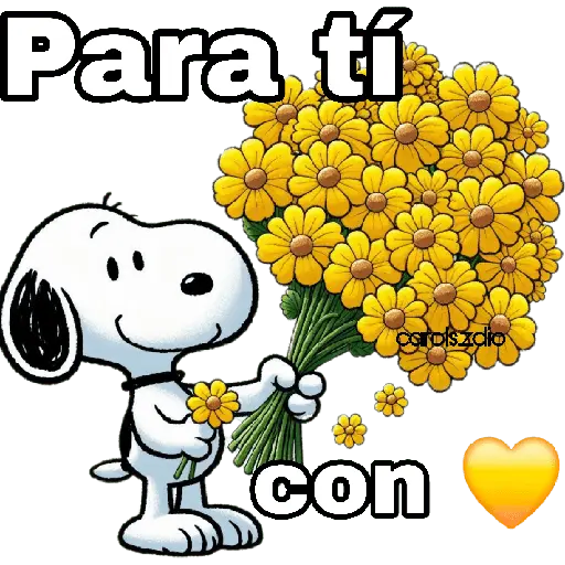 Para tí con carolszdio