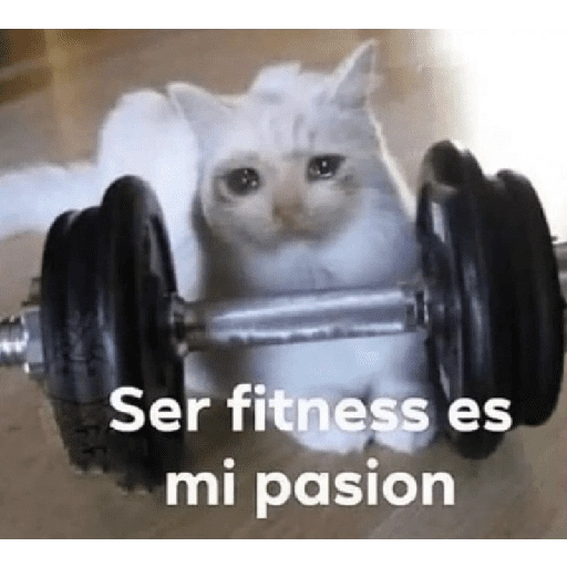 Ser fitness es mi pasion