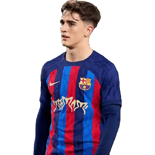 FC Barcelona 5 17