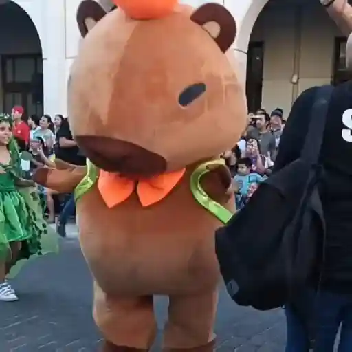 🎵 TIKTOKeando 34🎵 17