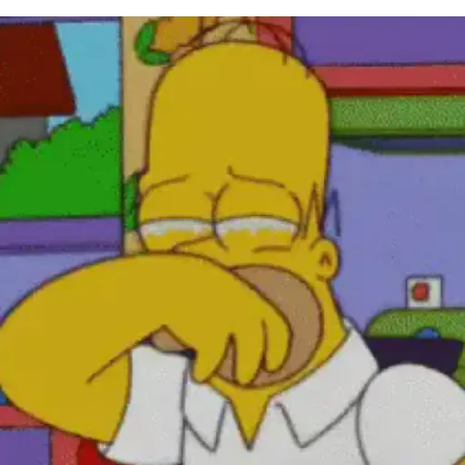 Homero Simpson 17