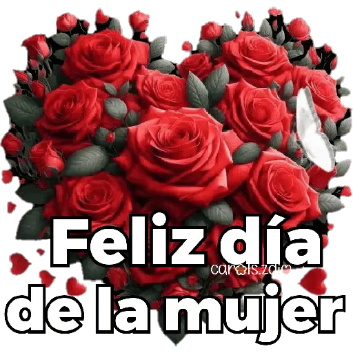 Día de la mujer ♀️👩🏻🎀 12