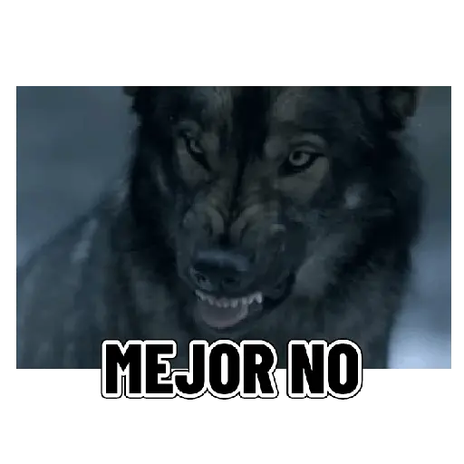 En modo de defensa estoy 🛡️ 10