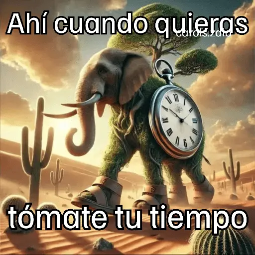 TikTok Brainrot frases 💬💥🧠 6