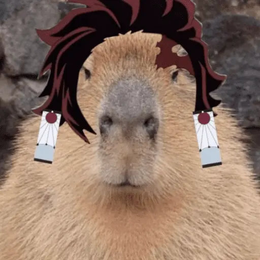 Capibara Random 🍉 13