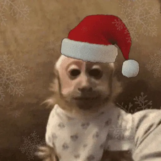 Monos navideños😜😙 13