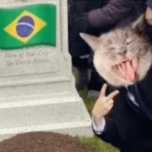 🇦🇷 ARGENTINA VS BRASIL MEMES 🇧🇷 1