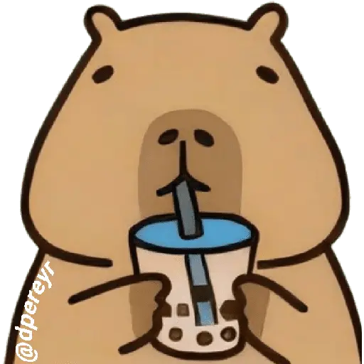 capibara 11