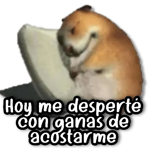 Hoy me desperté con ganas de acostarme