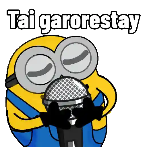 variroooo Minions 6