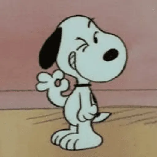 🐶 SnOoPy 🌲 19