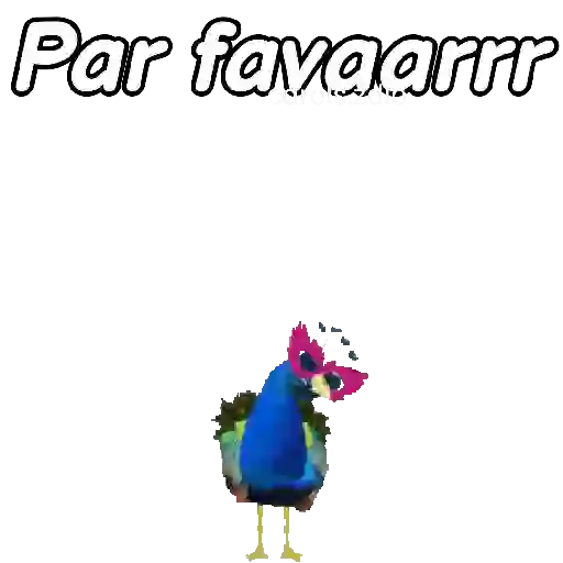 Animales Random pa contestar 💬 2