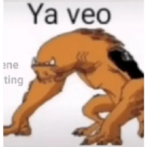 soy admin 5