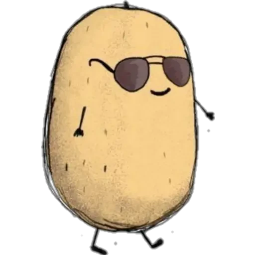 Potato