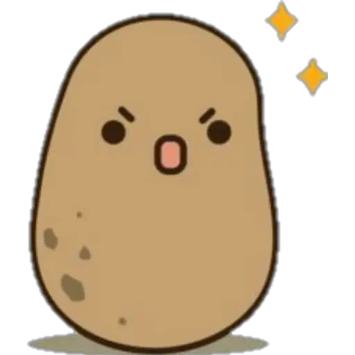 Potato 14