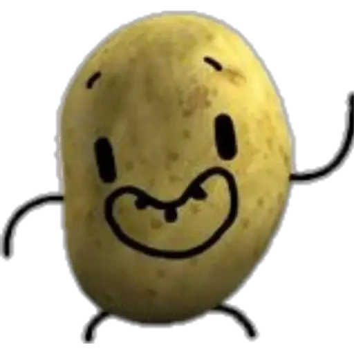 Potato 8