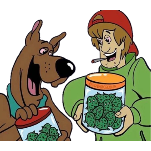 4/20 28