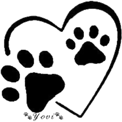 🐾Amor Perruno🐶🐾 9