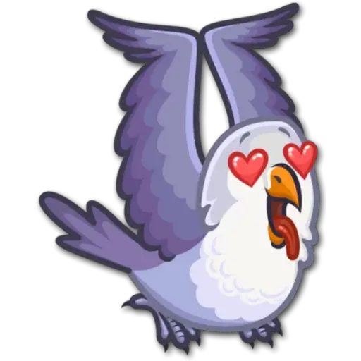 🐦Pajaros Lindos🐦  14