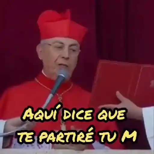 Papa Leon XIV 😎 14