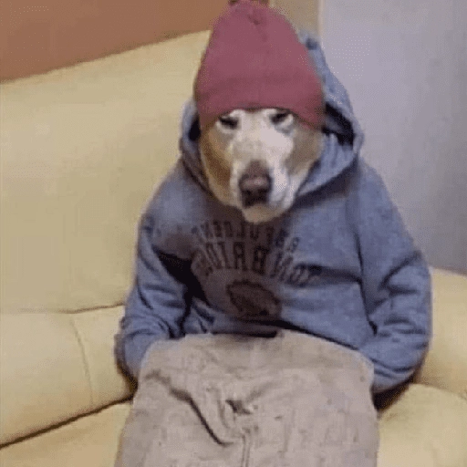 Perritos que tienen frío❄️✨ 2