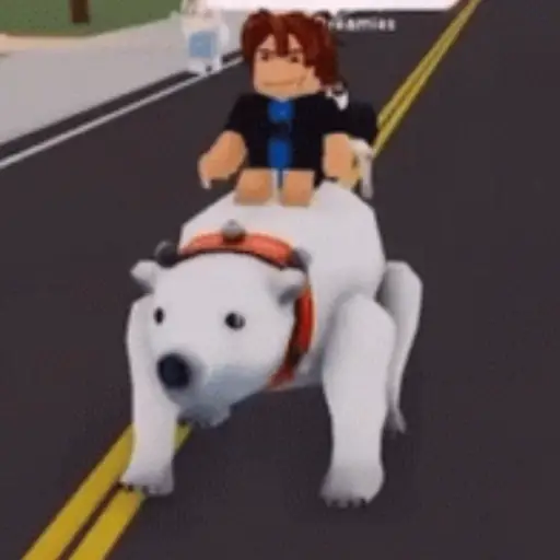 👾 ROBLOX 👾 8